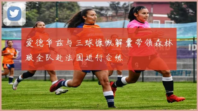 爱德华兹与三球慷慨解囊带领森林狼全队赴法国进行合练